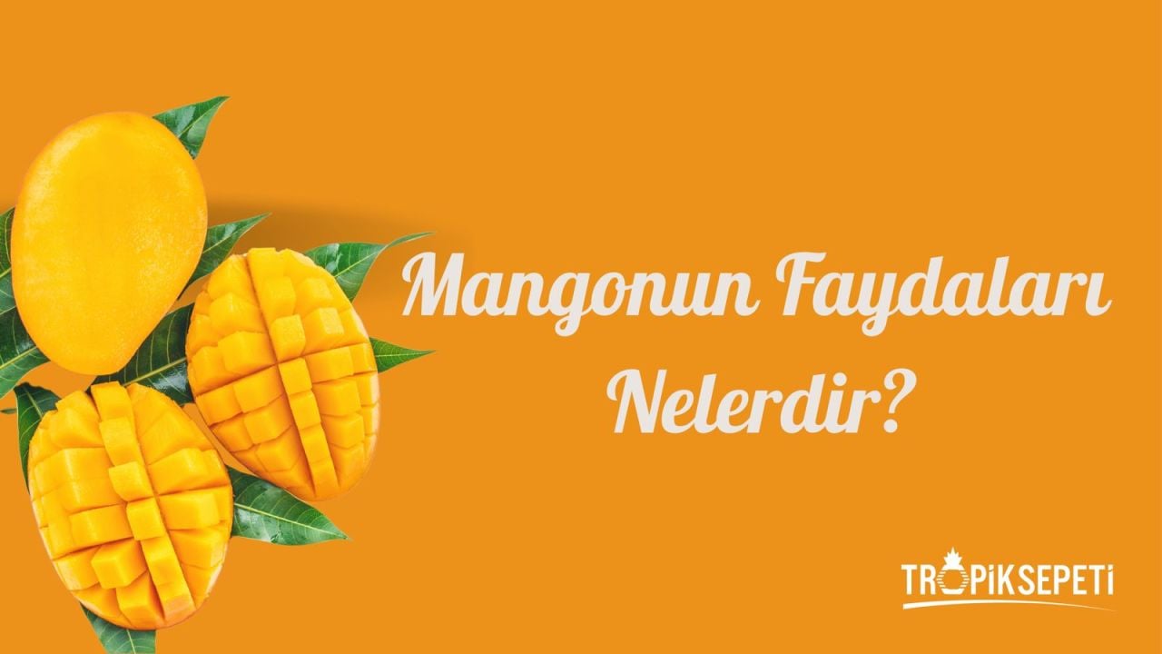Mangonun Faydaları Nelerdir?