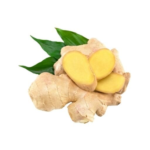 Zencefil