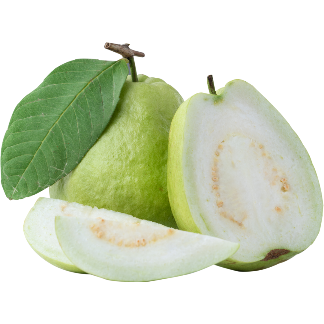 Elma Guava - 1 Adet