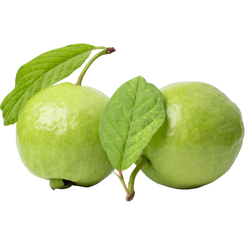 Elma Guava - 1 Adet