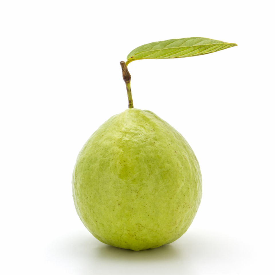 Elma Guava - 1 Adet