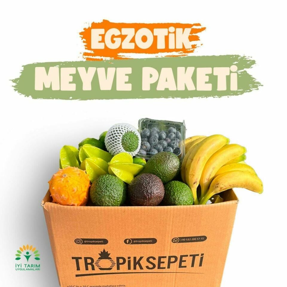 Egzotik Hediye Paketi