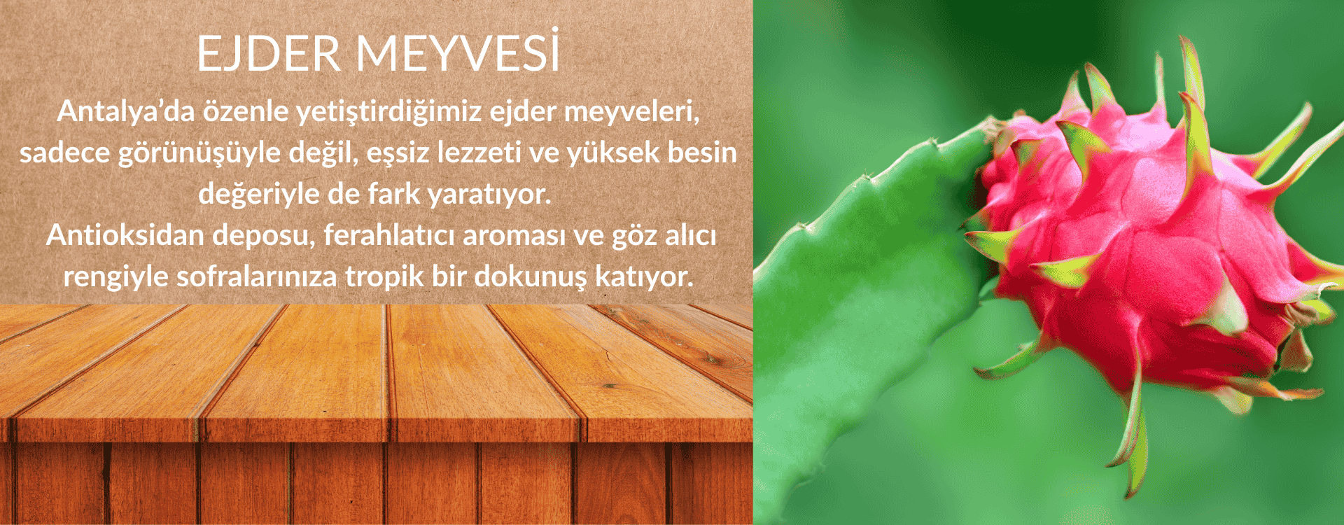 Ejder