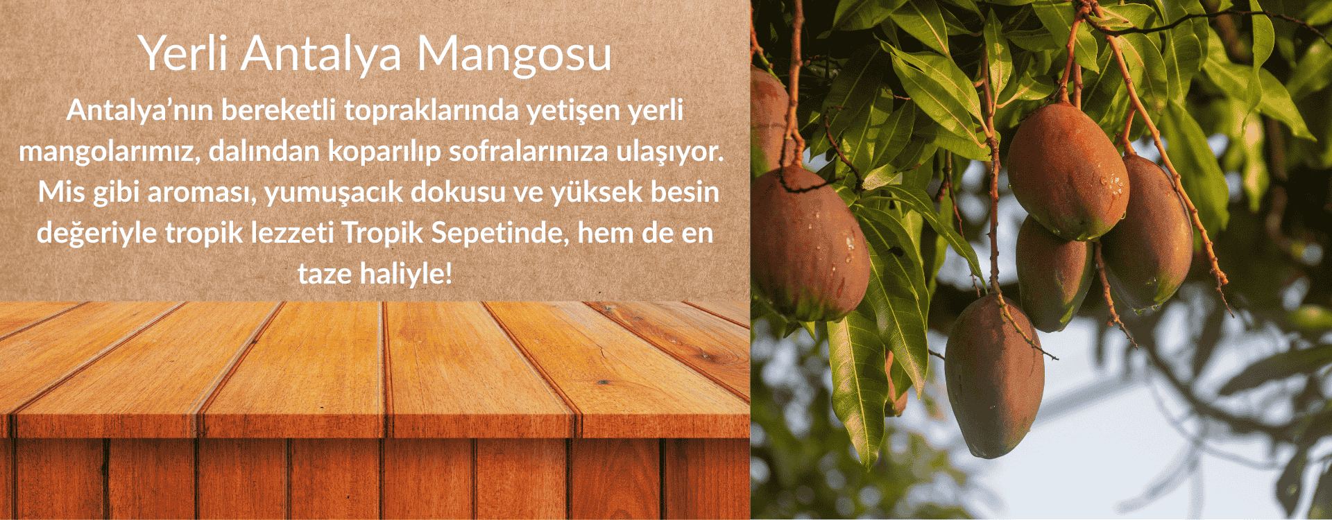 Mango